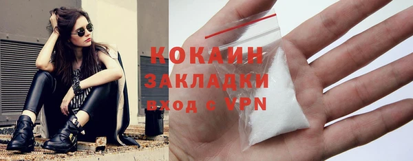ешки Новодвинск
