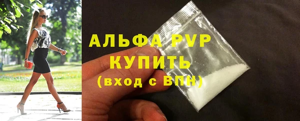 ешки Новодвинск