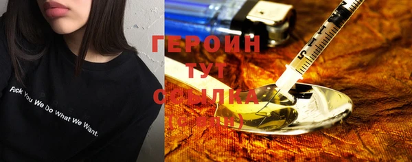 ешки Новодвинск