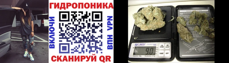 Конопля LSD WEED Каневская
